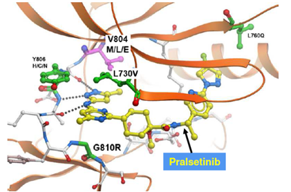 Selective next-generation RET inhibitor(图3)